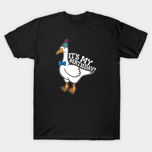 It's My Birthday Silly Goose T-Shirt